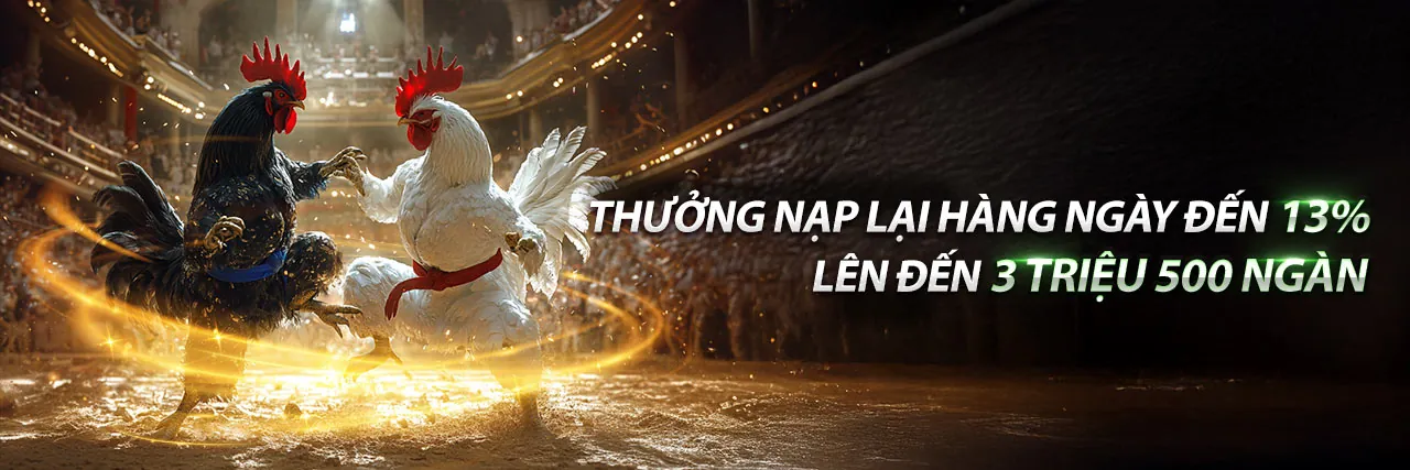 Hình ảnh hỗ trợ khách hàng 55vin App