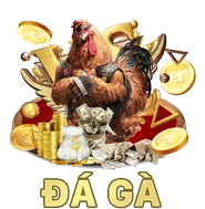Hoa hồng cao 55vin app