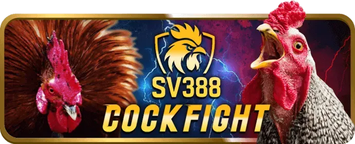 Hoàn trả cược thua 55vin app
